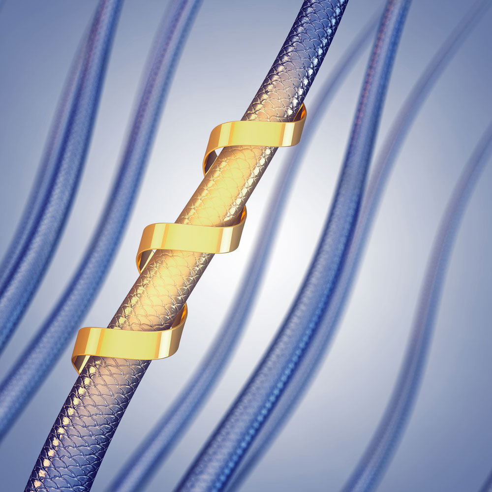 Shampoo for tangled dry hair Ravish Soap Company