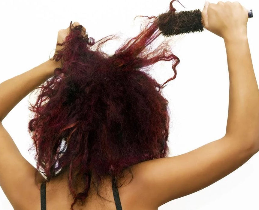 Shampoo for tangled dry hair Ravish Soap Company